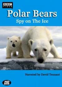 Постер Белый медведь: Шпион во льдах