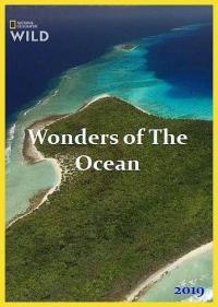 Постер Чудеса океана