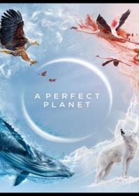 Постер Идеальная планета